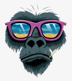 戴眼镜的猴子素材