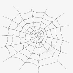电脑合成图合成蜘蛛网高清图片