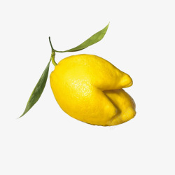 乐檬特别造型乐檬高清图片