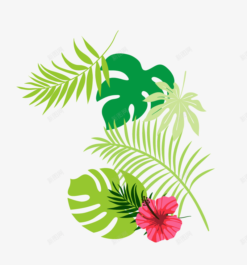 夏日清新热带植物png免抠素材_新图网 https://ixintu.com 夏日 清新 热带植物