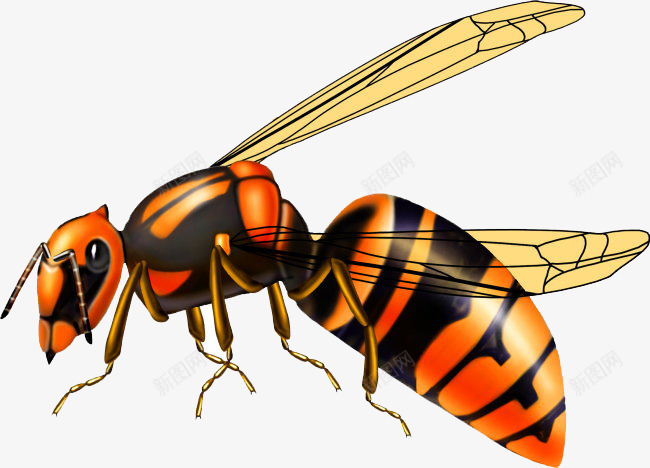 卡通手绘蜜蜂昆虫png免抠素材_新图网 https://ixintu.com 卡通蜜蜂 害虫 昆虫 蜜蜂