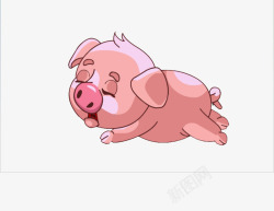 闭眼动物闭着眼睛睡觉的小猪高清图片