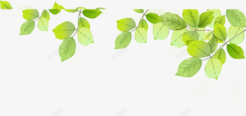 合成绿色的树叶造型手绘效果png免抠素材_新图网 https://ixintu.com 合成 效果 树叶 绿色 造型