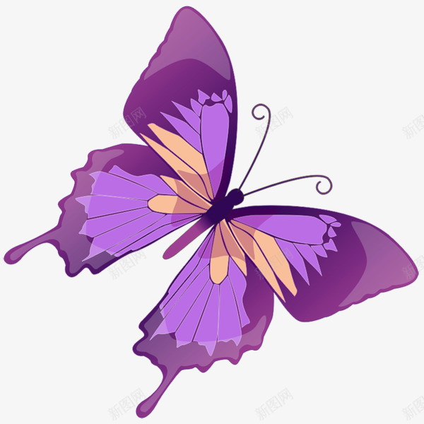 美丽的紫色蝴蝶png免抠素材_新图网 https://ixintu.com 昆虫 紫色 蝴蝶