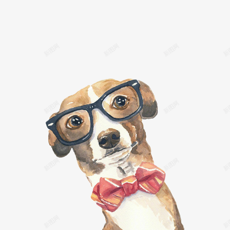 戴眼镜的小狗psd免抠素材_新图网 https://ixintu.com png图形 png装饰 动物 小狗 手绘 装饰