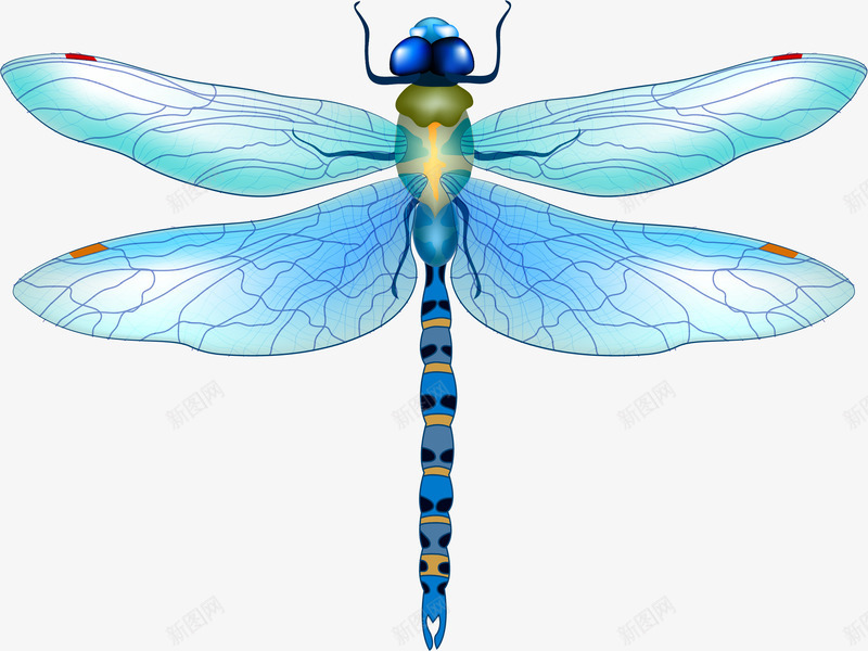 淡蓝色蜻蜓png免抠素材_新图网 https://ixintu.com 昆虫 益虫 矢量素材 蓝色蜻蜓 蜻蜓