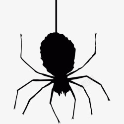 可怕的蜘蛛挂着蜘蛛图标高清图片