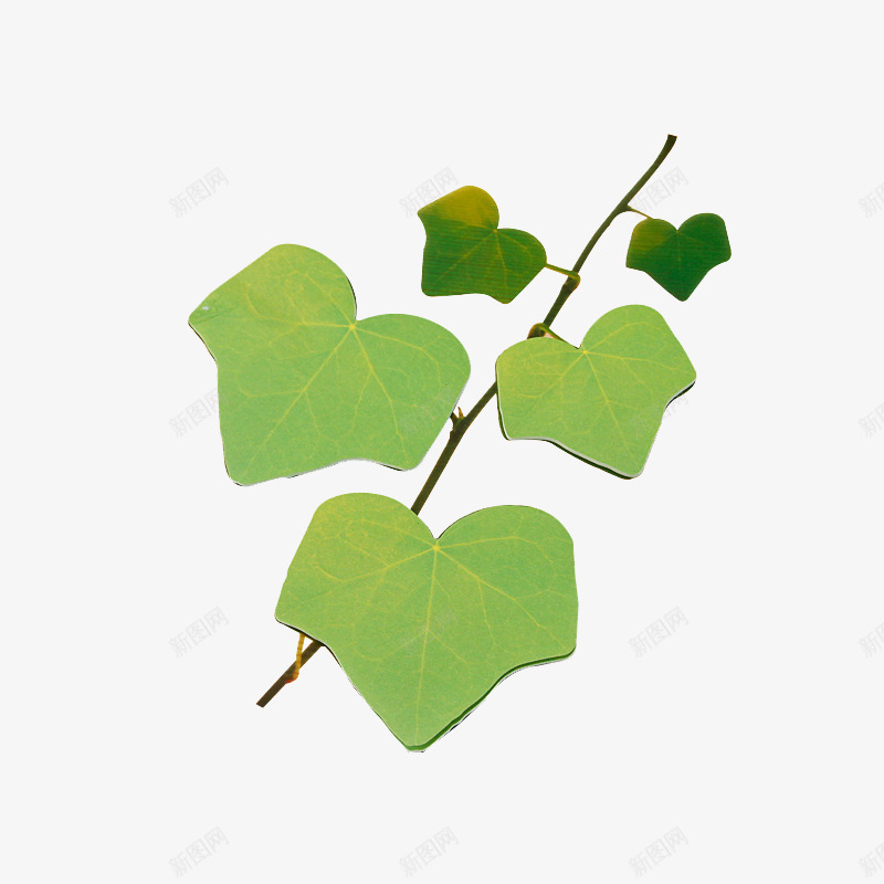 树叶便利贴png免抠素材_新图网 https://ixintu.com 产品实物图 便利贴 创意 树叶 绿色