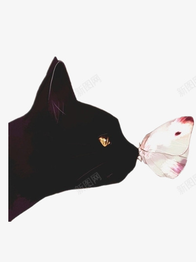 猫png免抠素材_新图网 https://ixintu.com 动物 喵星人 猫咪 黑猫