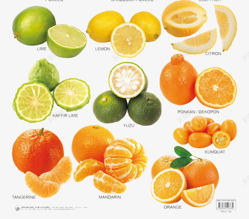 绿色水果png免抠素材_新图网 https://ixintu.com 新鲜水果 柚子 橘子 水果 绿色 绿色水果
