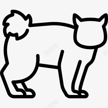 KurilBobtailCat图标图标