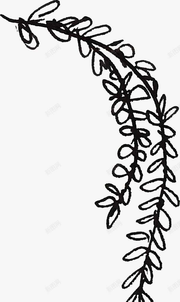 线描树叶png免抠素材_新图网 https://ixintu.com 线描植物 线条 花卉 黑色