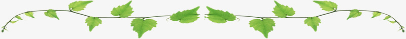 创意合成绿色的树叶造型形状png免抠素材_新图网 https://ixintu.com 创意 合成 形状 树叶 绿色 造型