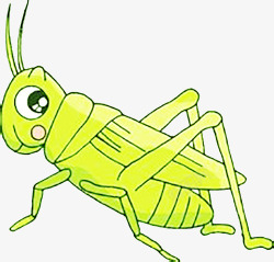 蟋蟀昆虫素材