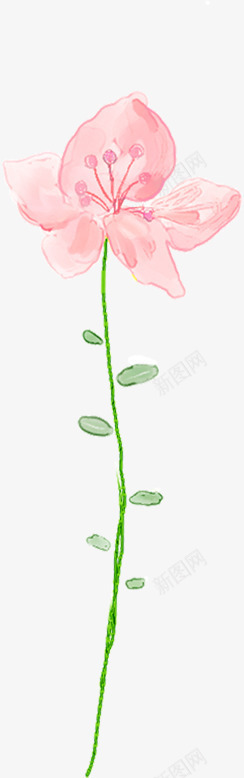 粉色花朵手绘唯美造型png免抠素材_新图网 https://ixintu.com 粉色 花朵 造型