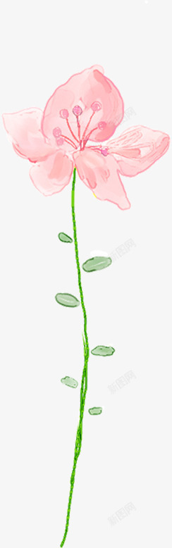 粉色花朵手绘唯美造型素材