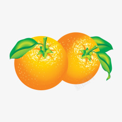两个橘子矢量图素材