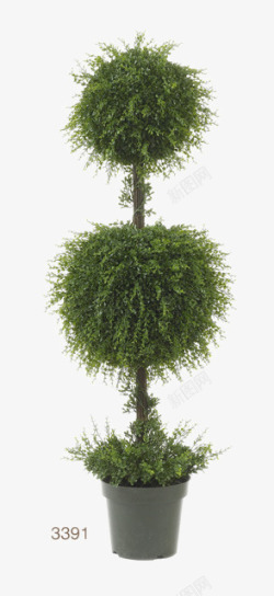 绿色装饰球形树素材