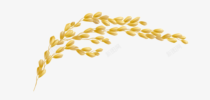 手绘小麦png免抠素材_新图网 https://ixintu.com 小麦 手绘小麦 植物素材 麦穗图片