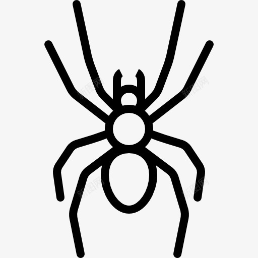 大蜘蛛图标png_新图网 https://ixintu.com 动物 昆虫 野生 野生动物