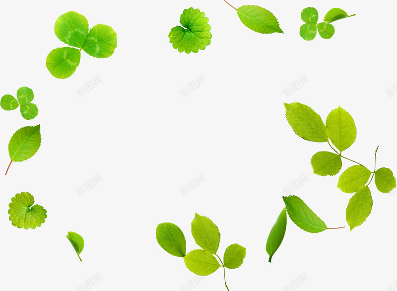 创意合成绿色的树叶效果造型png免抠素材_新图网 https://ixintu.com 创意 合成 效果 树叶 绿色 造型