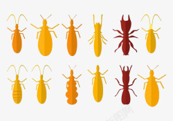 昆虫黄色蛐蛐螳螂素材