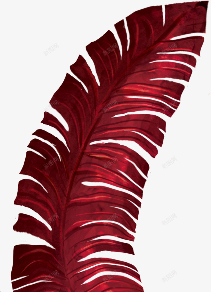 红色热带植物叶子png免抠素材_新图网 https://ixintu.com 叶子 手绘 树叶 树叶装饰 热带植物 红叶 红色树叶