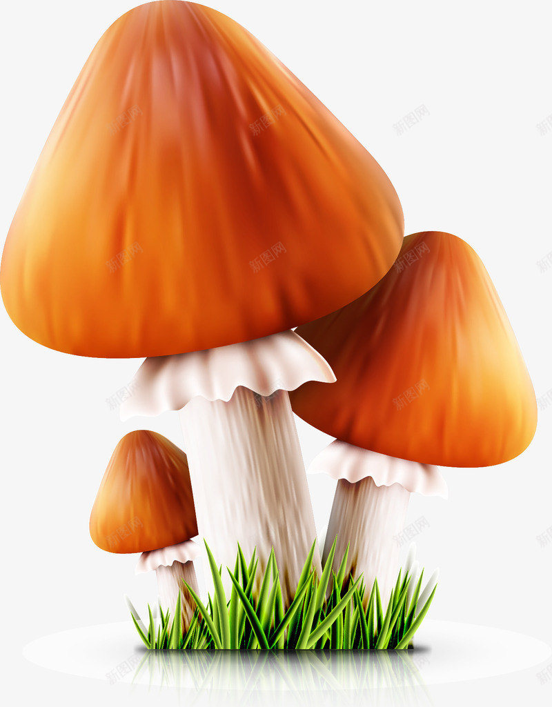 卡通手绘蘑菇造型装饰png免抠素材_新图网 https://ixintu.com 卡通 小清新 手绘 童趣 蘑菇 蘑菇造型 装饰矢量图