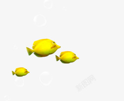 黄色热带鱼素材