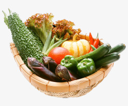 多种蔬菜素材