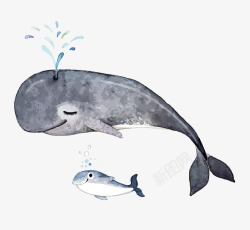 水彩鲸鱼矢量图素材