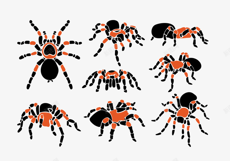 卡通彩色蜘蛛png免抠素材_新图网 https://ixintu.com 儿童风格 卡通 彩色动物 昆虫 蜘蛛