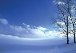雪地里的枯树海报背景七夕情人节素材