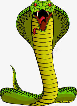 眼镜蛇毒蛇绿色眼镜蛇矢量图高清图片