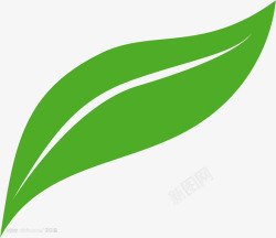 一片叶子上的樱桃一片绿色的叶子高清图片