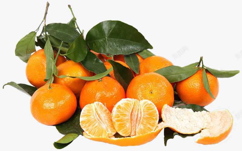 黄色橘子拨开的橘子png免抠素材_新图网 https://ixintu.com 拨开的橘子 黄色橘子
