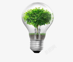 创意灯泡绿树素材