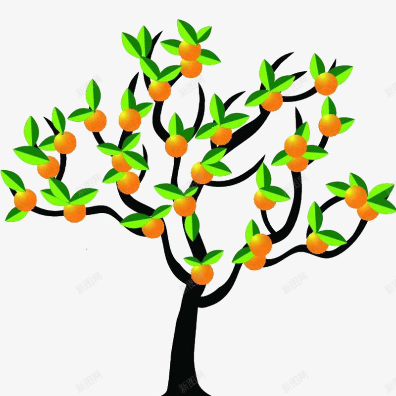 茂密的橘树png免抠素材_新图网 https://ixintu.com 果树 橘子 橘树 绿色