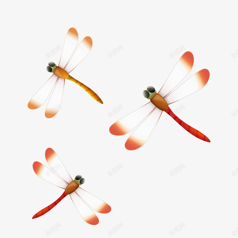 红色蜻蜓png免抠素材_新图网 https://ixintu.com 手绘 昆虫