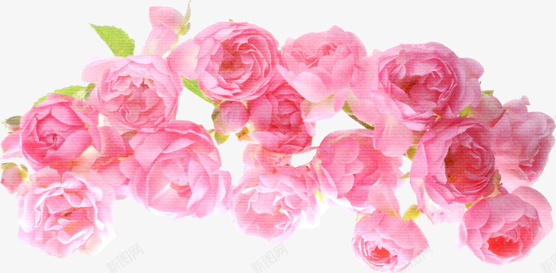 粉色花朵装饰图案png免抠素材_新图网 https://ixintu.com 植物 花卉 贴图
