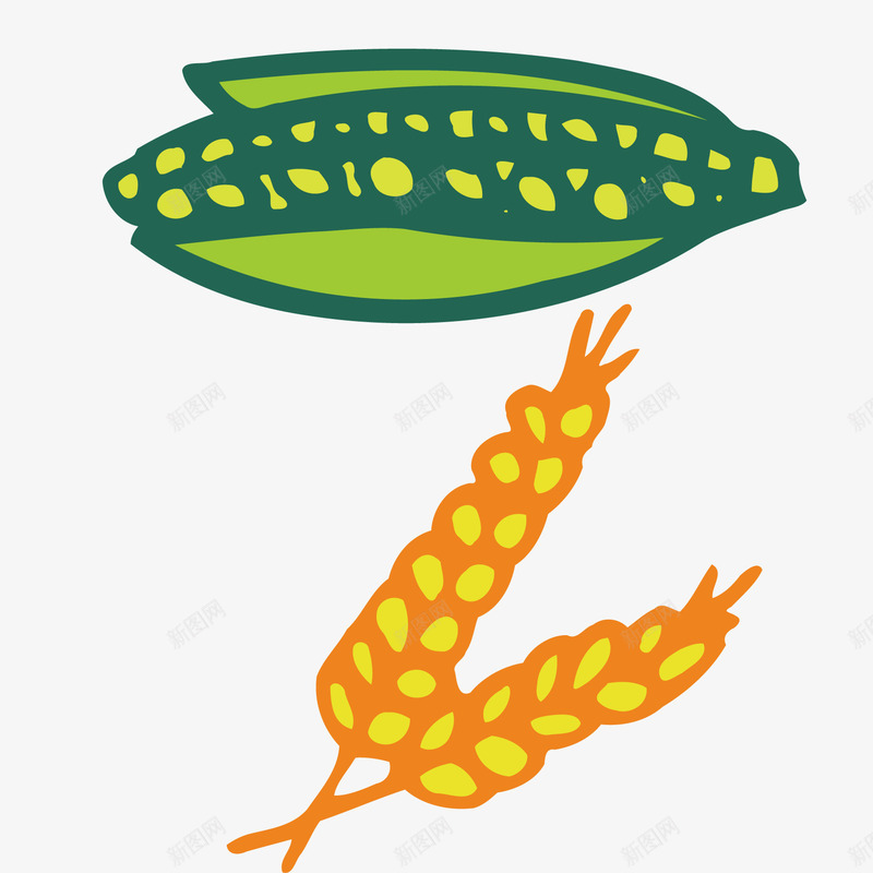 五谷杂粮玉米和小麦矢量图ai免抠素材_新图网 https://ixintu.com 五谷 小麦 杂粮 玉米 食物 矢量图