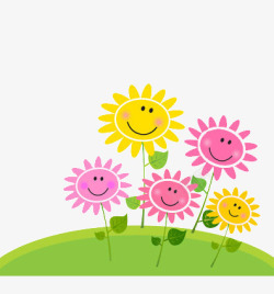 笑脸花朵盛开的向日葵高清图片