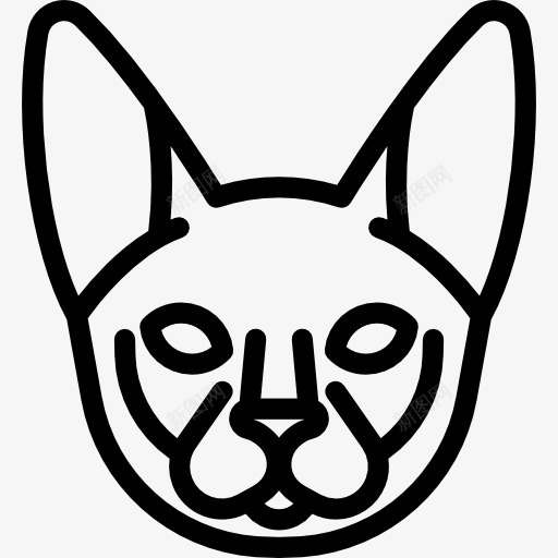 PeterbaldCat图标png_新图网 https://ixintu.com 动物 品种 宠物 猫 猫咪