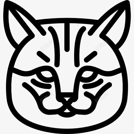 KurilBobtailCat图标png_新图网 https://ixintu.com 动物 品种 宠物 猫 猫咪