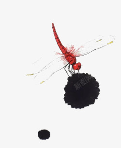 卡通中国风蜻蜓素材