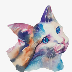 忧郁的猫猫咪头像手绘图高清图片