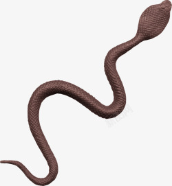 动物王蛇素材