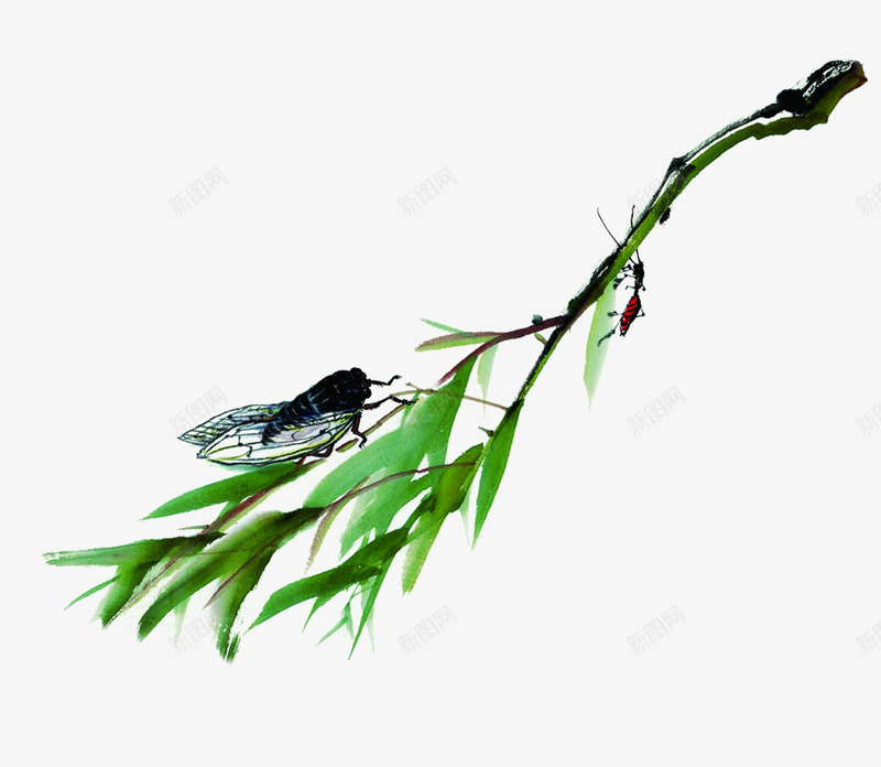 手绘绿色树叶昆虫png免抠素材_新图网 https://ixintu.com 昆虫 树叶 绿色