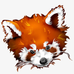 动物火狐狐狸熊猫Roux浏览器素材