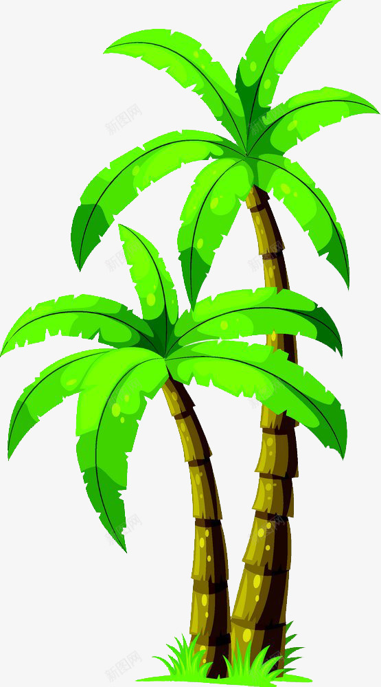 卡通椰树png免抠素材_新图网 https://ixintu.com 卡通椰树 植物 热带